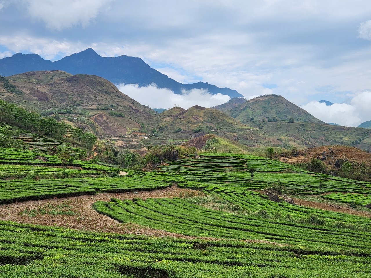 Wycieczka rowerowa północny Wietnam z przewodnikiem: Twoja droga przez smocze góry i szmaragdowe tarasy ryżowe
